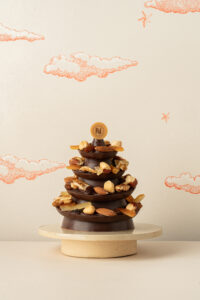 Sapin mendiant noel chocolaterie Valence drome