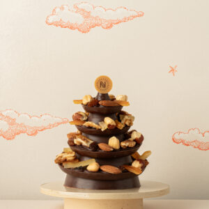 Sapin mendiant noel chocolaterie Valence drome